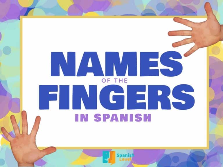 The names of the fingers in Spanish Spanish Level