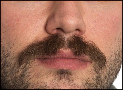 Picture of the word Bigote