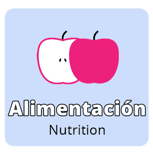 name of foods in spanish