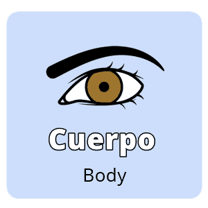 body parts spanish