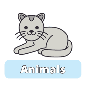 Spanish vocabulary exercises about the animals