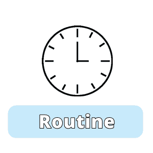 Spanish vocabulary exercises about the daily routine