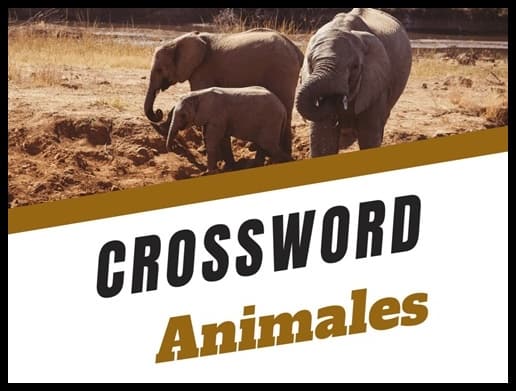 spanish crossword animal pictures